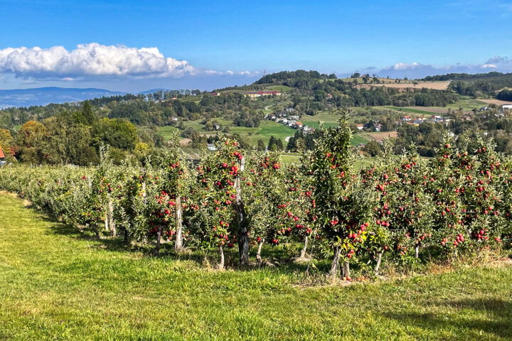 Fotos: Eva Maria Ginal 