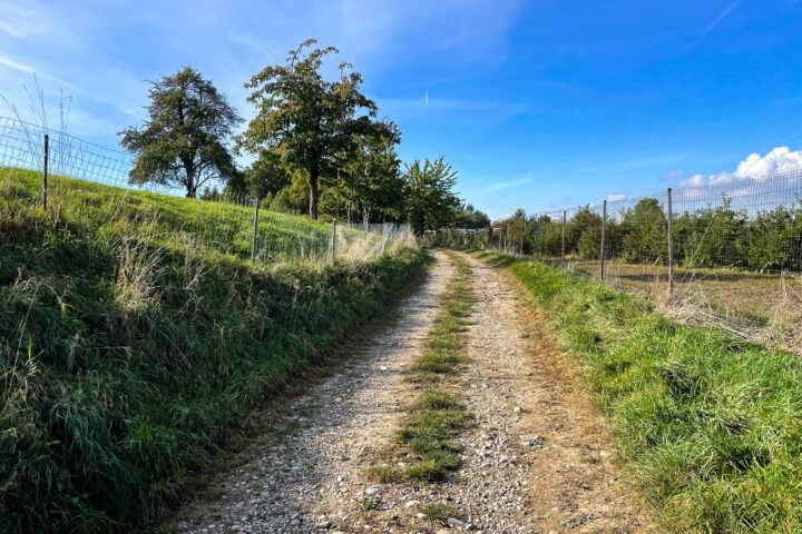 Fotos: Eva Maria Ginal 