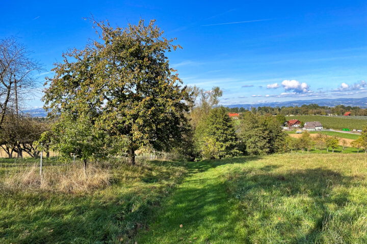 Fotos: Eva Maria Ginal 