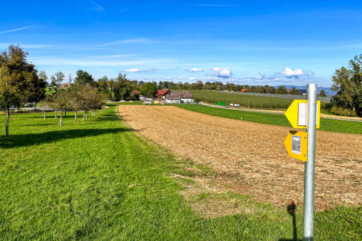 Fotos: Eva Maria Ginal 