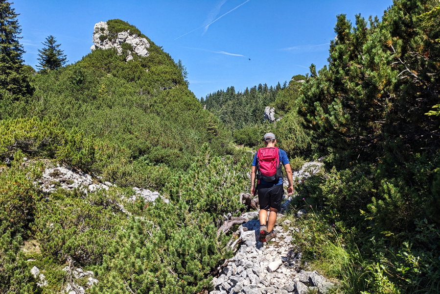 Kurz zweifeln wir an der Erkennbarkeit des Weges, doch nach ein paar Schritten findet man zwischen den Büschen und Steinblöcken immer wieder eindeutige Spuren! Foto: Thomas Obermair