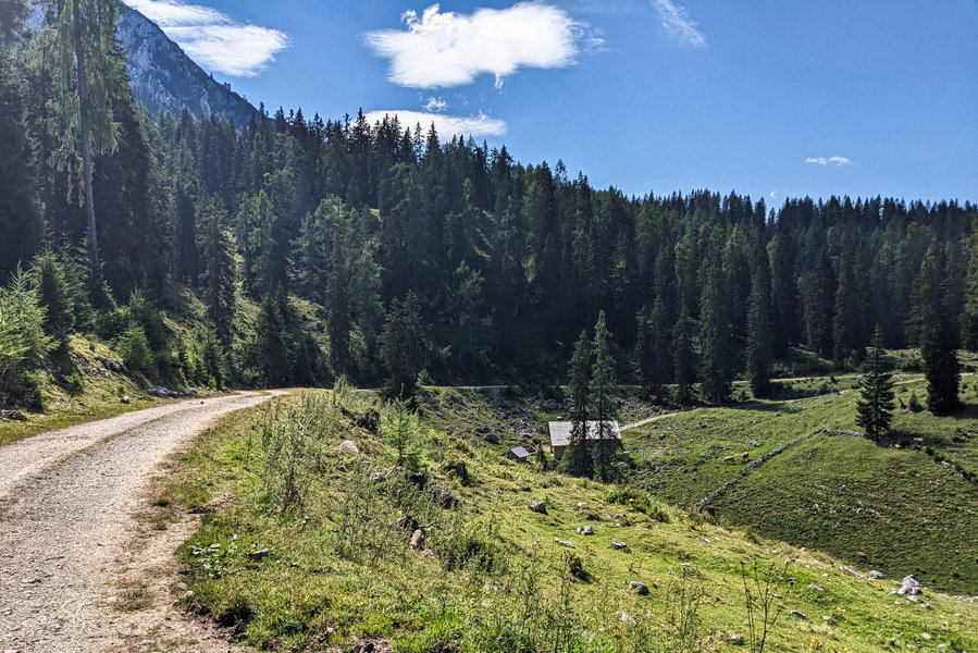 Ab jetzt gehen wir ein gutes Stück auf der Forststraße. Höhenmeter sammeln wir dabei nicht viele, ganz gerade geht es zum Glück aber auch nicht dahin! Foto: Thomas Obermair
