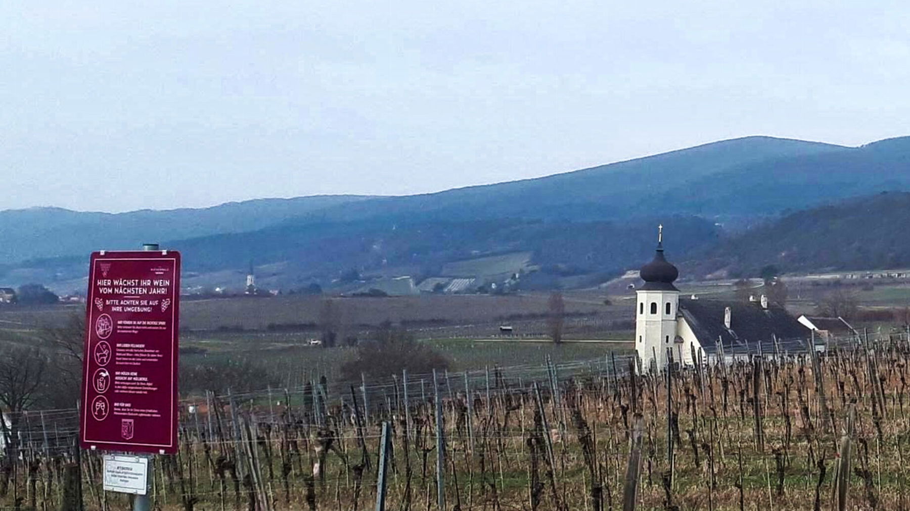 Blick von Thallern nach Gumpoldskirchen. Foto: Gerold Petritsch
