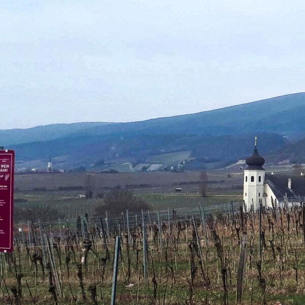 Blick von Thallern nach Gumpoldskirchen. Foto: Gerold Petritsch