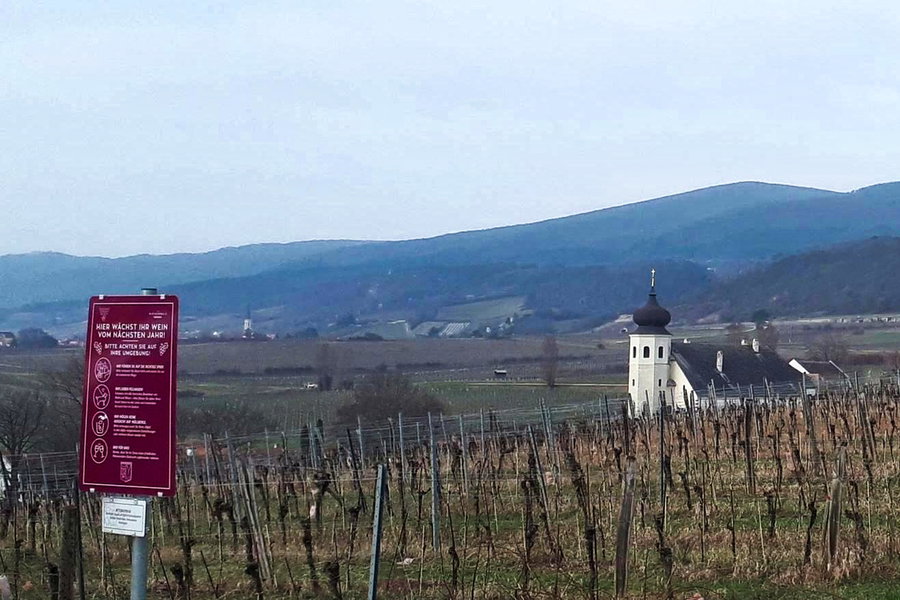 Blick von Thallern nach Gumpoldskirchen. Foto: Gerold Petritsch