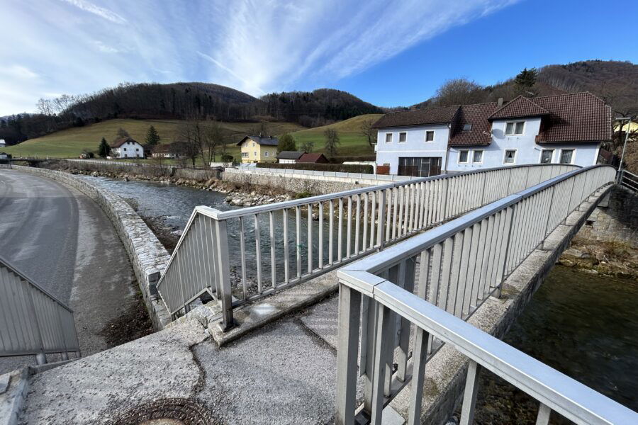 Steg über die Traisen. Foto Veronika Schöll