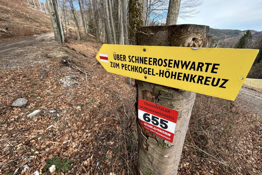 Erste Hinweise auf die Schneerosenwarte. Foto Veronika Schöll