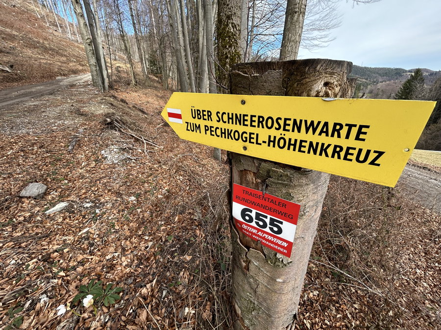 Erste Hinweise auf die Schneerosenwarte. Foto Veronika Schöll