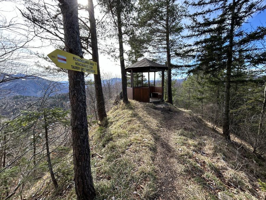 Schneerosenwarte. Foto Veronika Schöll