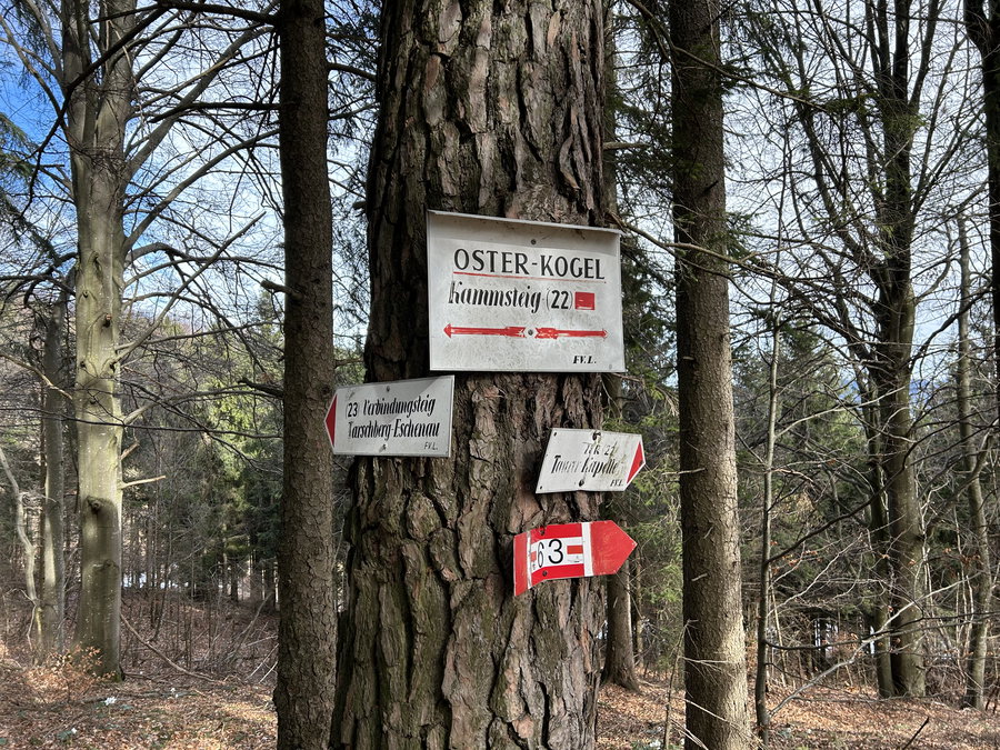 Unterwegs am Kammsteig. Foto Veronika Schöll