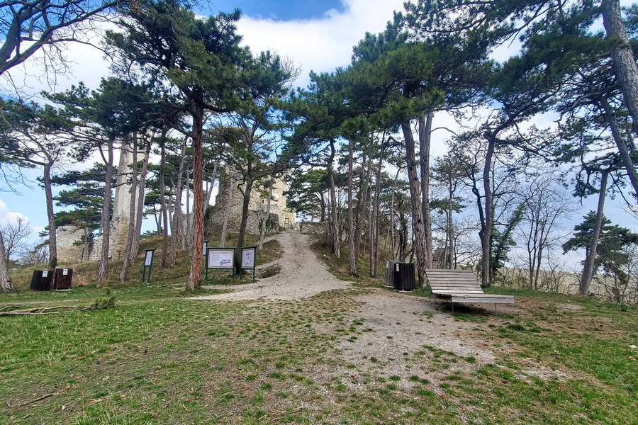 Sonnenplätzchen beim Eingang der Burgruine Mödling. Foto: Linda Prähauser