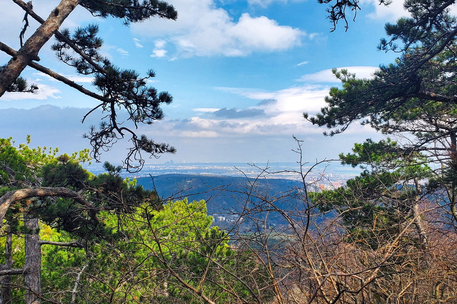 Aussicht vom Aussichtspunkt. Foto: Linda Prähauser