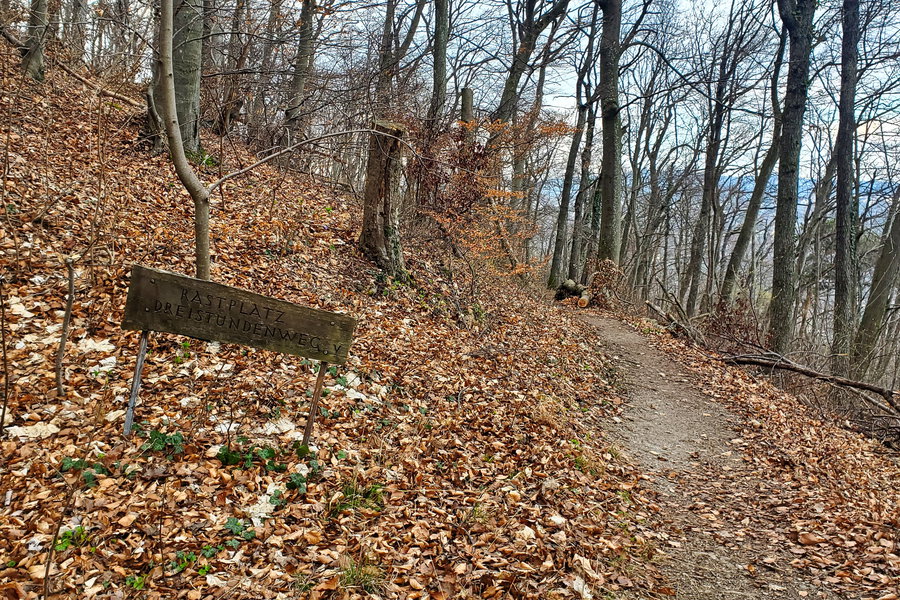 Rastplatz Dreistundenweg. Foto: Linda Prähauser