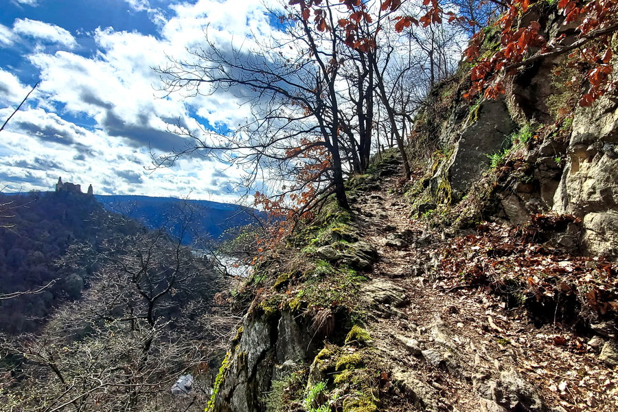 Der Weg inklusive Aussicht auf die Burgruine Dürnstein. Foto: Linda Prähauser