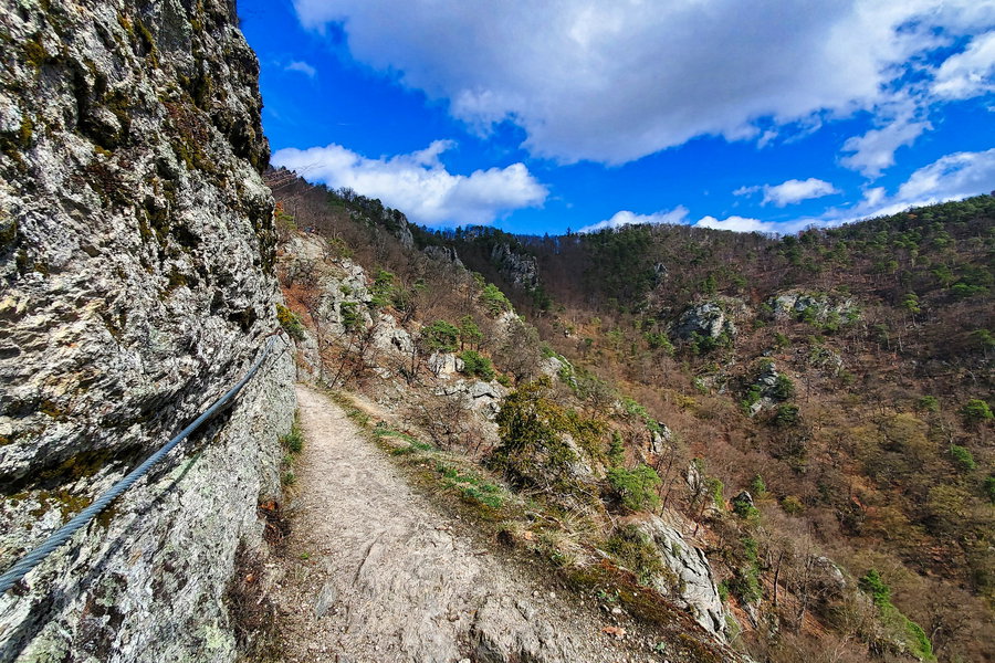 Vogelbergsteig mit Stahlseil-Sicherung. Foto: Linda Prähauser