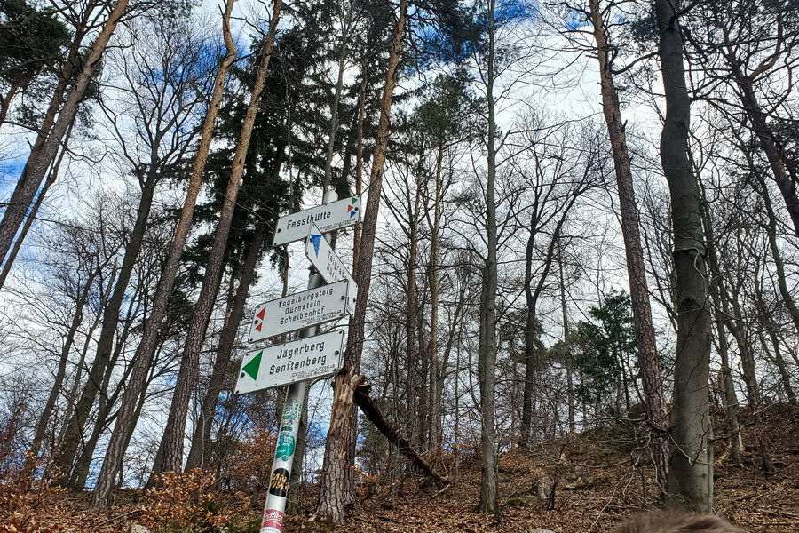 Wegweißer – Wir folgen dem Weg Richtung Fesslhütte. Foto: Linda Prähauser