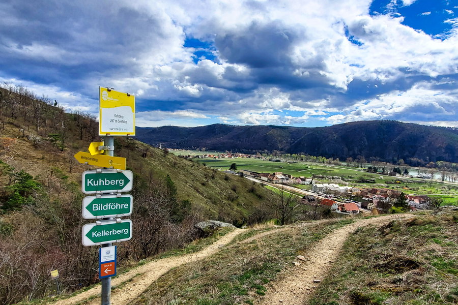 Aussicht vom Kuhberg. Ab hier geht es immer entlang des Welterbesteigs. Foto: Linda Prähauser