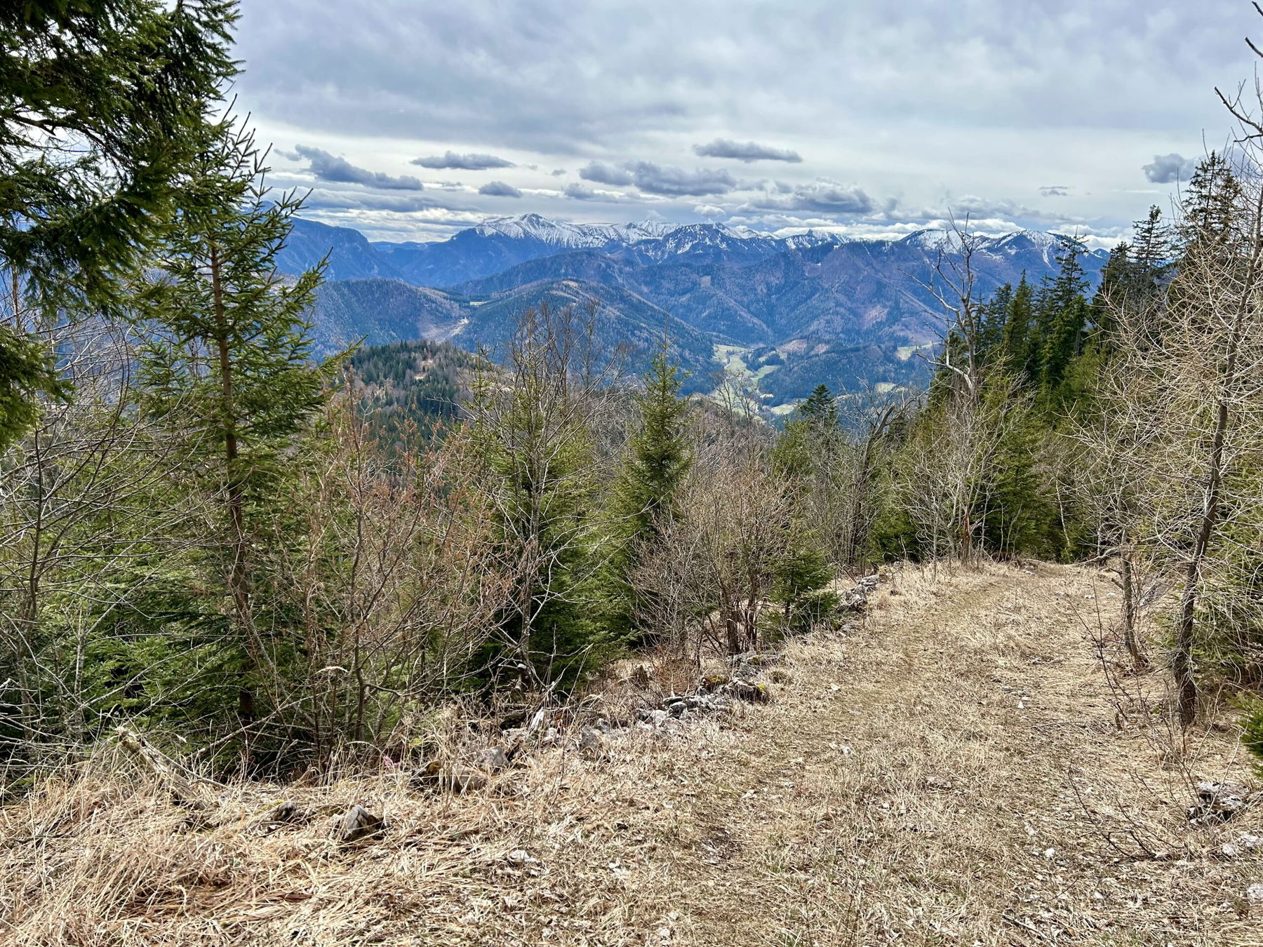 Falkenstein, Handlesberg, Nusskipferl