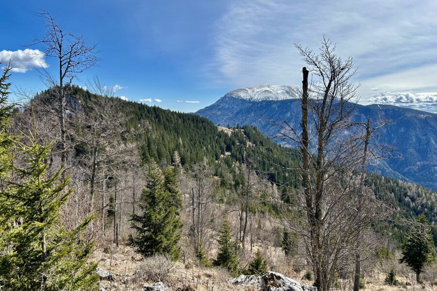 Handlesberg und Schneeberg - welcher ist welcher? ;-) Foto Veronika Schöll