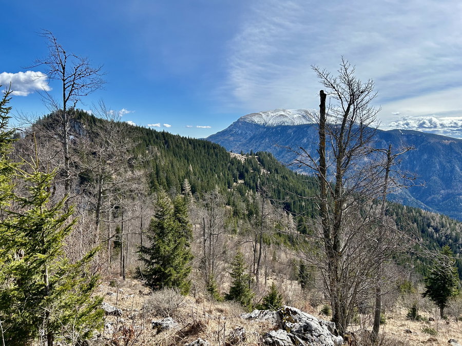 Handlesberg und Schneeberg - welcher ist welcher?  ;-)  Foto Veronika Schöll