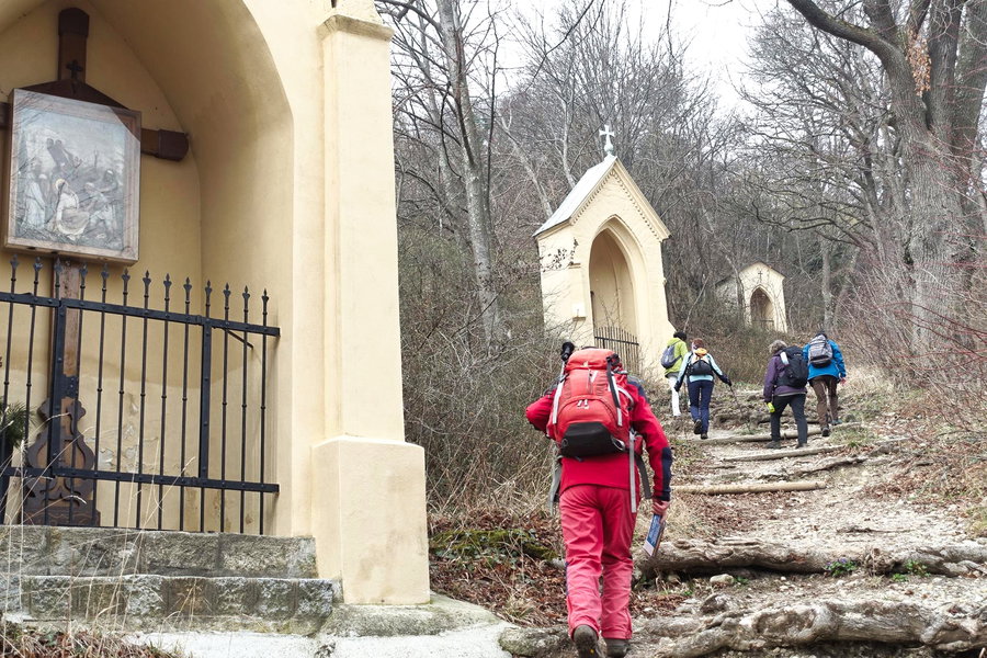 Aufstieg von Gumpoldskirchen zum Beethovenweg. Foto: Gerold Petritsch