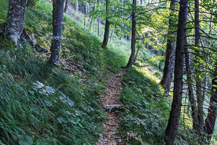 Schmaler als dieser Weg ist es nie, ab und zu weniger flach. Foto: Thomas Obermair