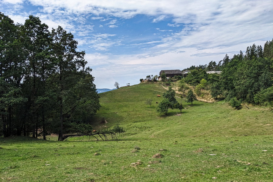 Vor uns die Weide und der Hof, bei dem die nächste Kreuzung auf uns wartet. Die Weide umgehen wir rechterhand. Foto: Thomas Obermair