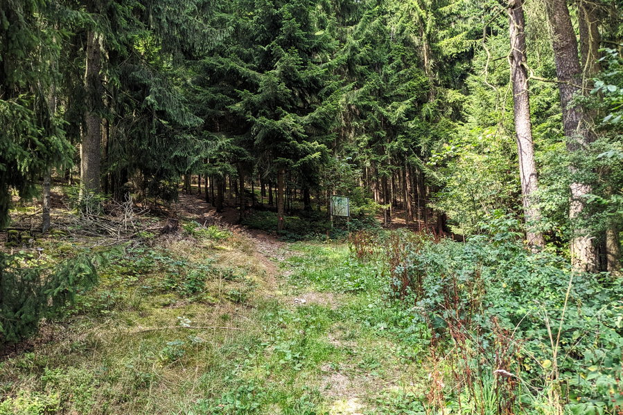 Der Beginn des Anstieges, markiert durch eine alte Infotafel. Es geht schattig weiter. Foto: Thomas Obermair
