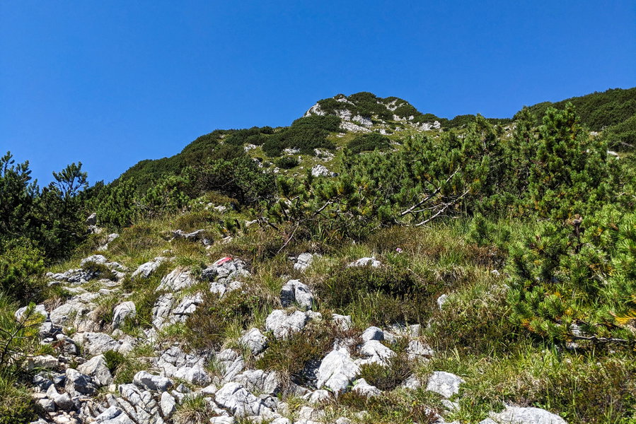 Ein Großteil des tatsächlichen Aufstiegs auf den Plassen selbst führt durch solches Gelände. Weiter unten noch in der Umgebung von mehr schattenspendenden Pflanzen. Foto: Thomas Obermair
