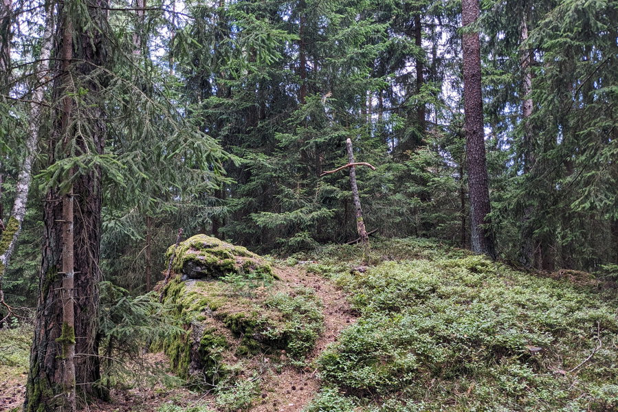 Ein improvisiertes Gipfelkreuz am höchsten Punkt des Buchbergs. Weiter unten bei dem Aussichtsturm ist noch eine kunstvollere Installation vorhanden. Wobei auch das Gebilde aus Naturmaterialien seinen Reiz hat! Foto: Thomas Obermair