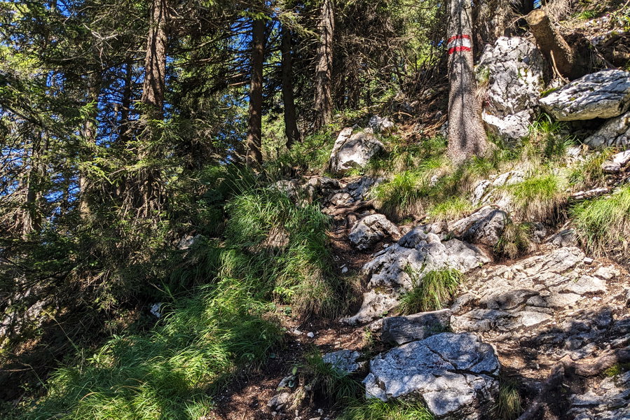 Der Abzweiger zum Mahdlgupf ist schnell überwunden! Foto: Thomas Obermair