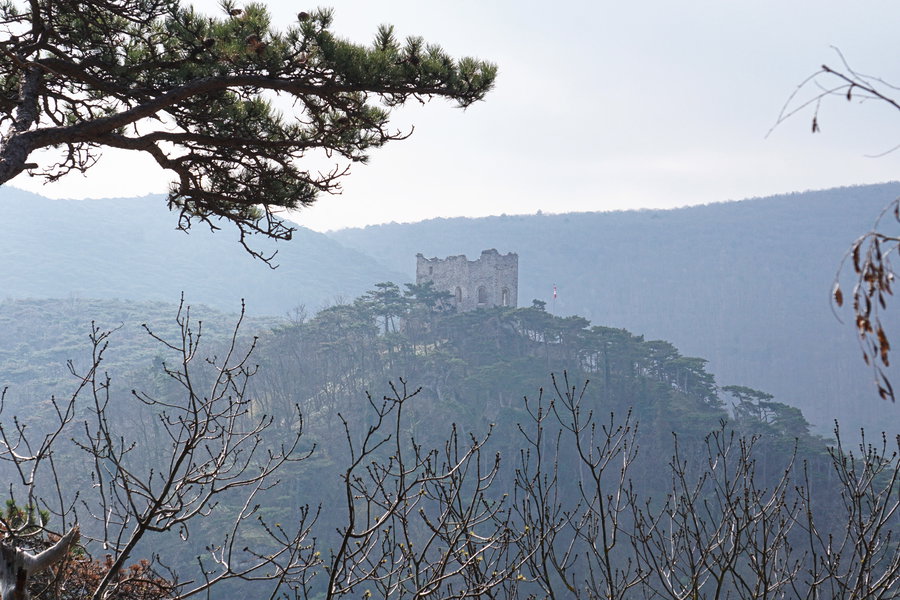 Blick auf die Burgruine Mödling (mein nächstes Ziel) von „Mödling bzw. Vorbrühl-Pfefferbüchsel“. Foto: Linda Prähauser