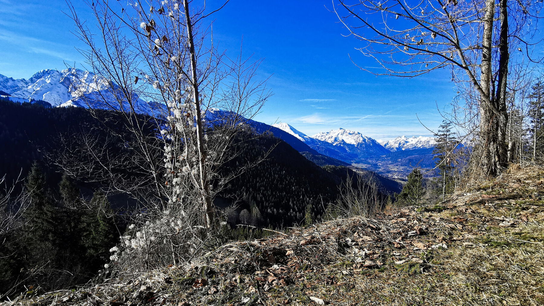 Durch sonnigen Wald nach oben. Foto: Tina Lin.