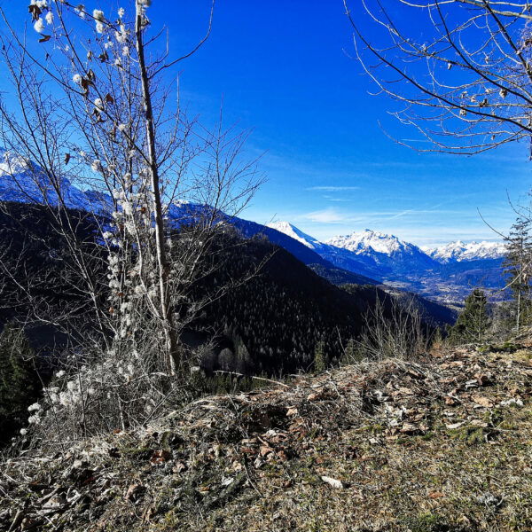 Durch sonnigen Wald nach oben. Foto: Tina Lin.