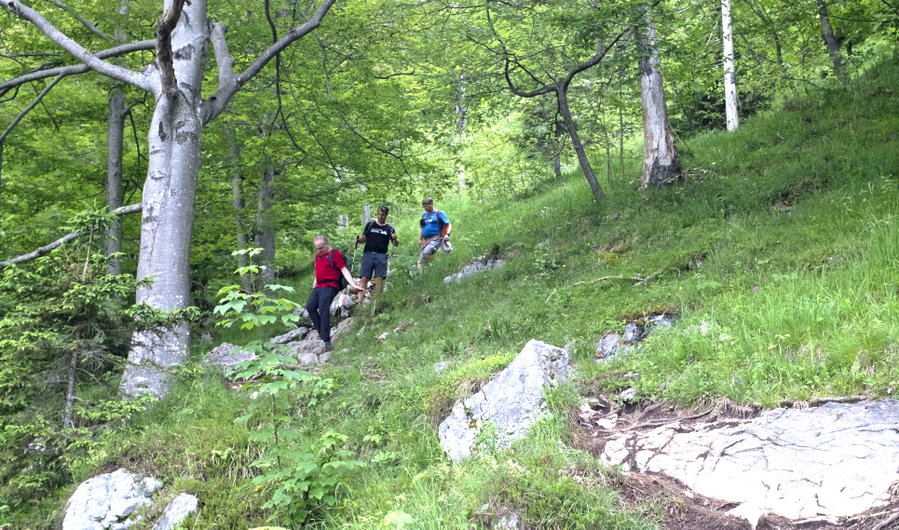  Abstieg durch den Wald. Foto: Birgit Reiter