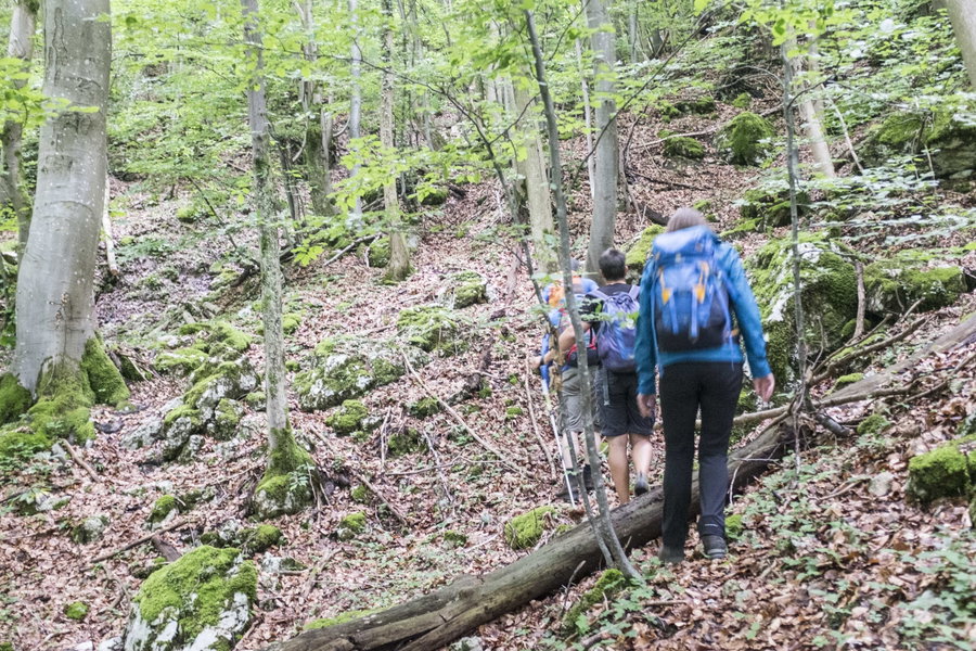 Der Weg ist nicht immer erkennbar. Foto: Birgit Reiter