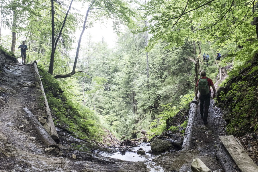  Hier ist der Weg dann wirklich ein Weg. Foto: Birgit Reiter
