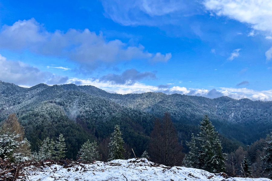 Blick am Weg hinunter nach Gutenstein. Foto: Ursula Truebswasser