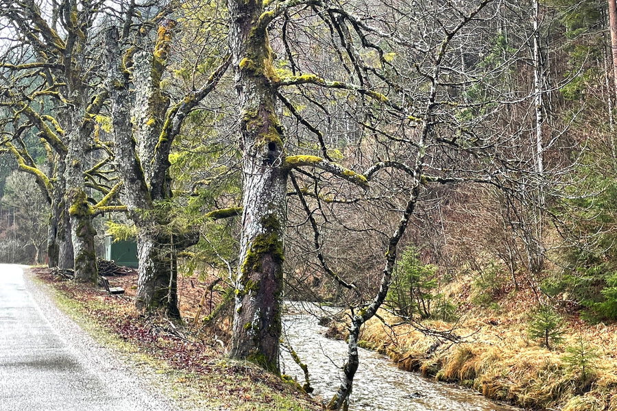 Steinapiestingtal. Foto: Ursula Truebswasser