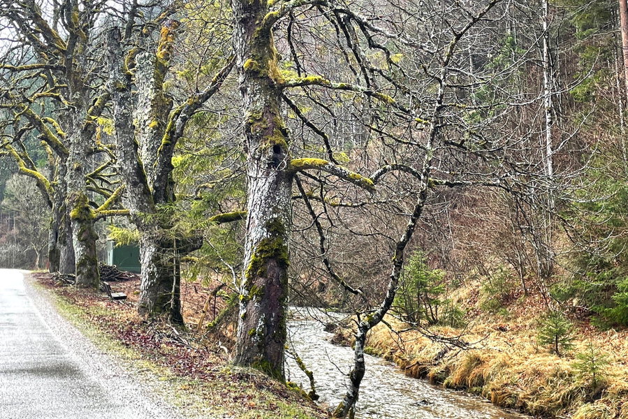 Steinapiestingtal. Foto: Ursula Truebswasser