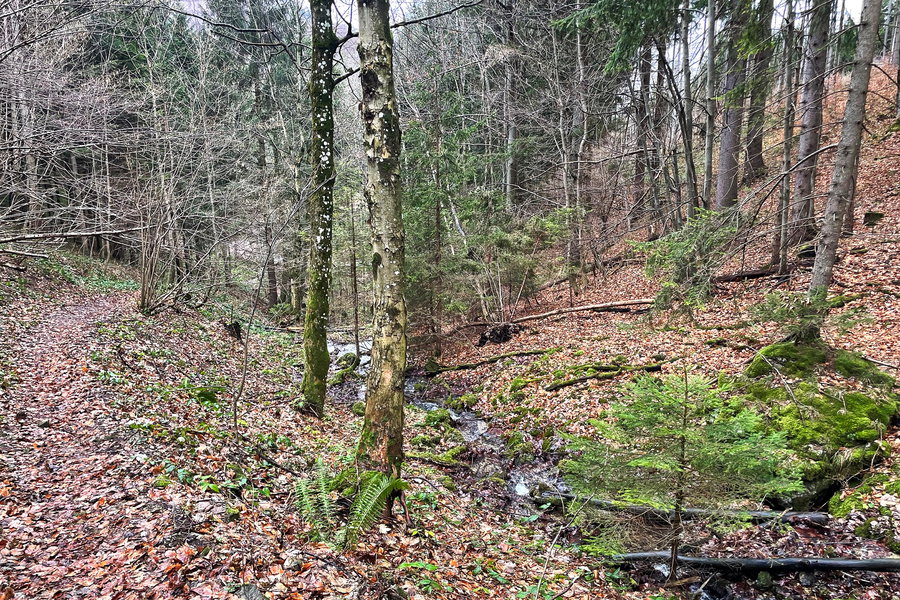 Bach am Ende des „Mohnnudelwegs. Foto: Ursula Trübswasser