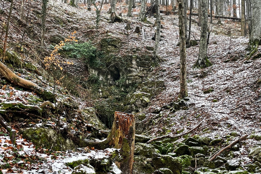 Myralucke. Foto: Ursula Truebswasser