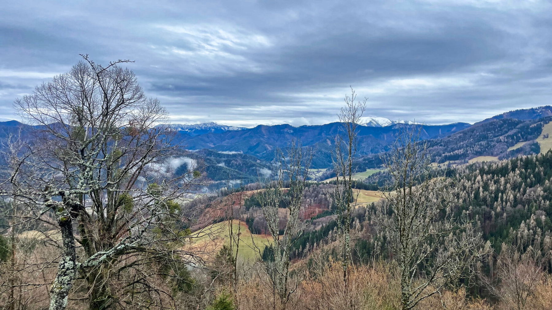 Blick nach Rax und Schneeberg. Foto: Ursula Trübswasser