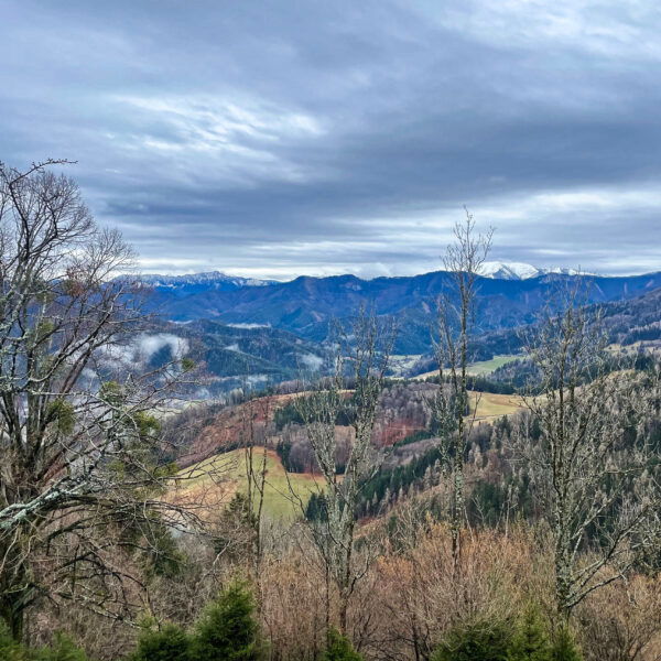 Blick nach Rax und Schneeberg. Foto: Ursula Trübswasser