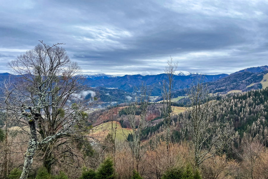 Blick nach Rax und Schneeberg. Foto: Ursula Trübswasser