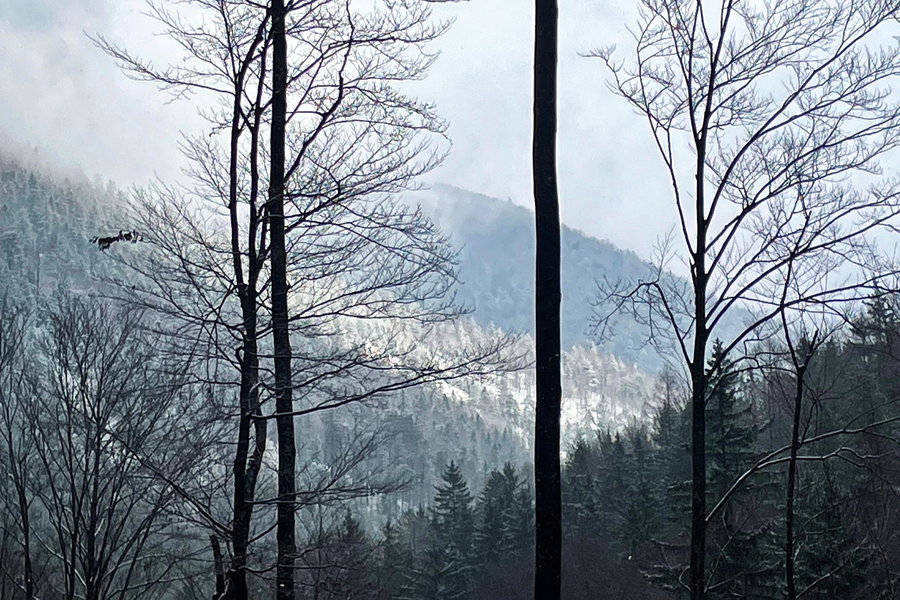 Blick am Weg hinauf von der Myralucke. Foto: Ursula Truebswasser