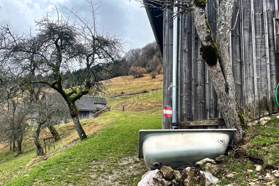 Immer der Badewanne nach. Foto: Ursula Trübswasser