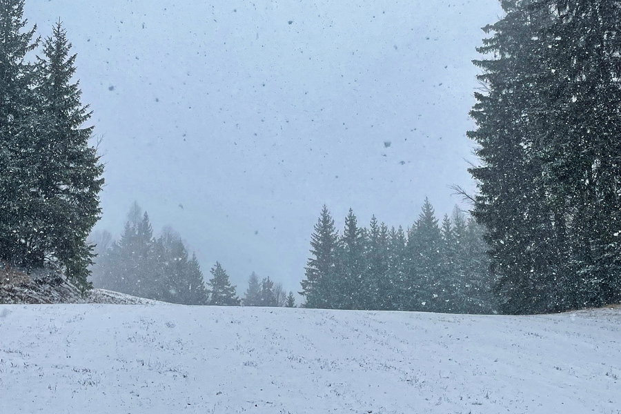 Blick zur Piste hinauf. Foto: Ursula Truebswasser