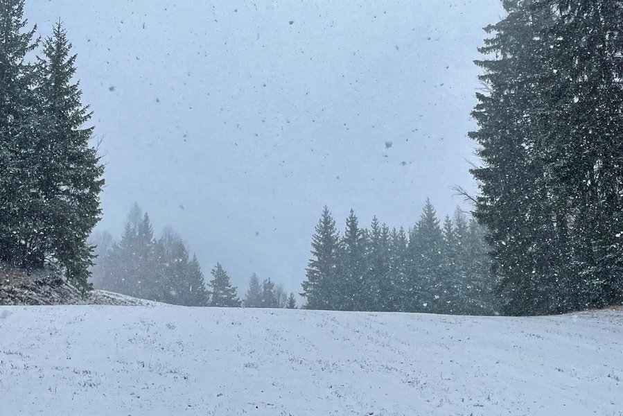 Blick zur Piste hinauf. Foto: Ursula Truebswasser