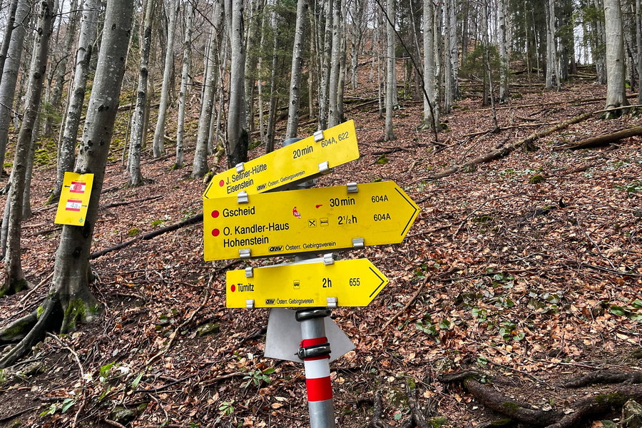 Abzweigungen zum Hohenstein? Foto: Ursula Trübswasser